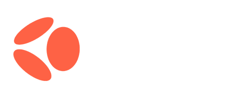 Wise lausnir